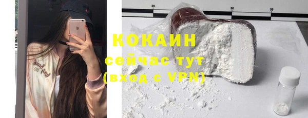 прущий лед Алзамай