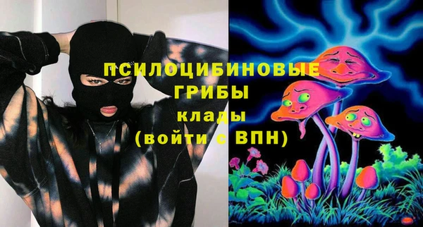 первитин Алексеевка