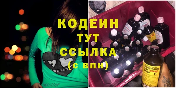 прущий лед Алзамай